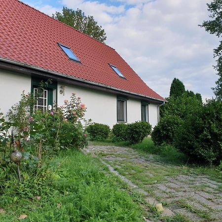 Oeko-Ferienhaus Rappin Экстерьер фото