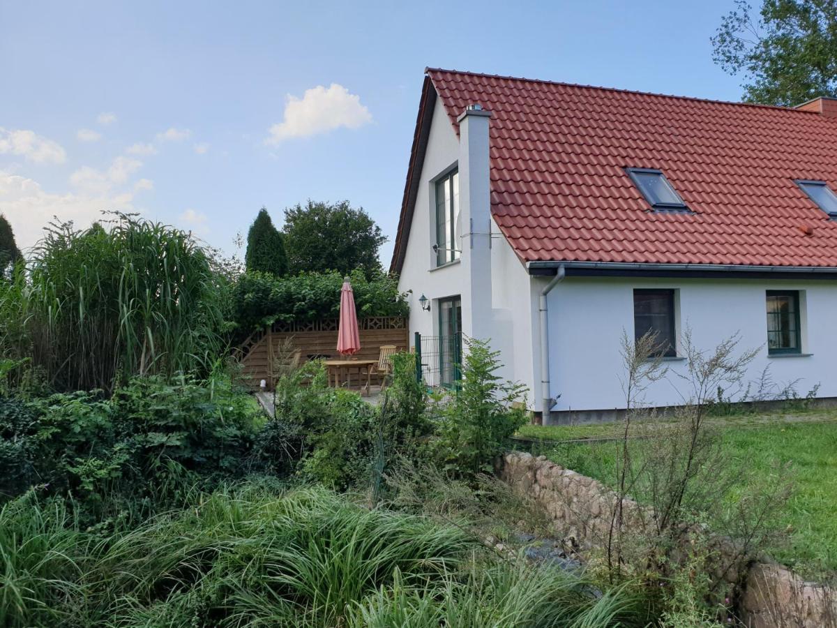 Oeko-Ferienhaus Rappin Экстерьер фото