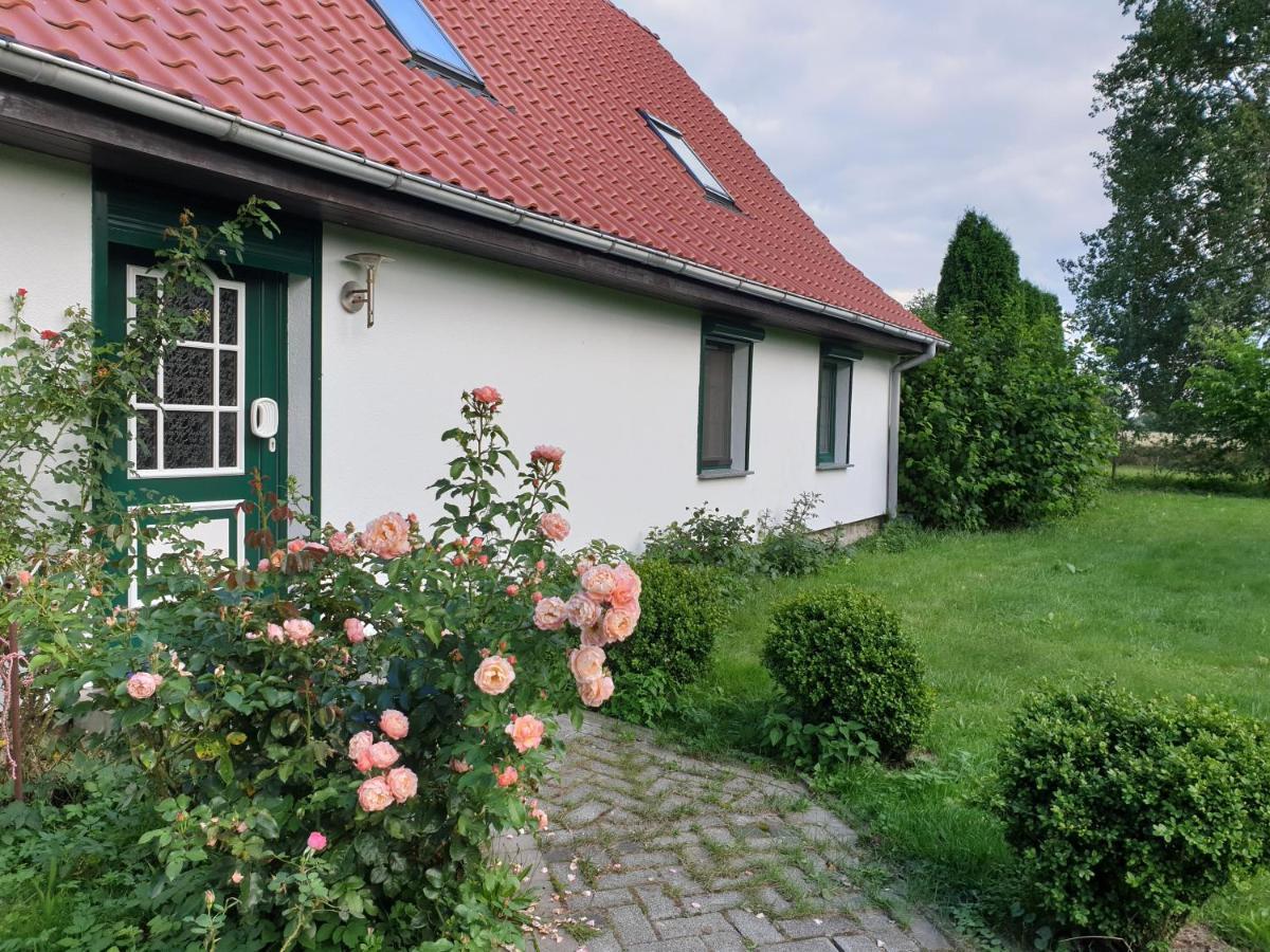 Oeko-Ferienhaus Rappin Экстерьер фото